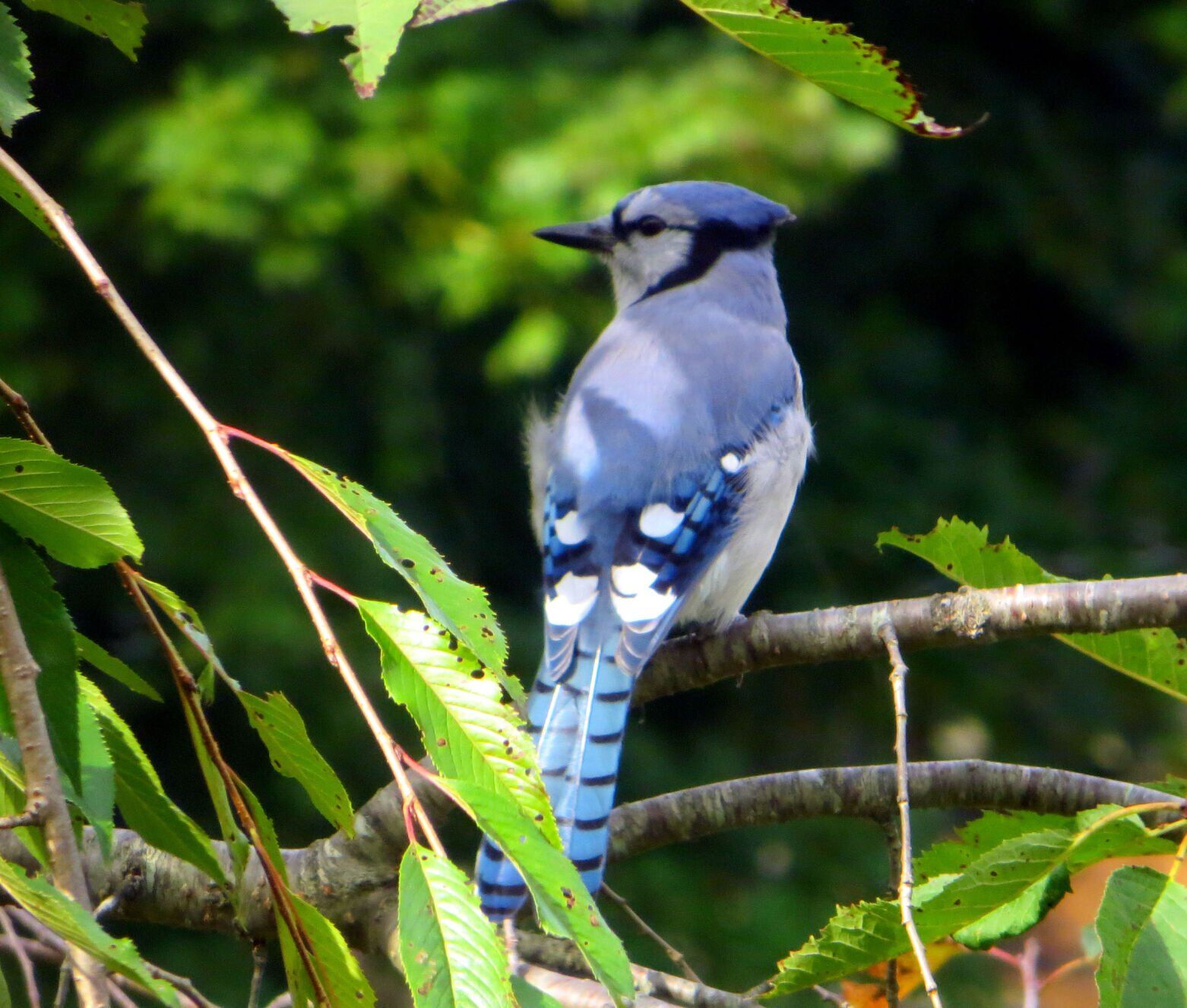 130830_DN_HAND_WILDLIFE_8.jpg